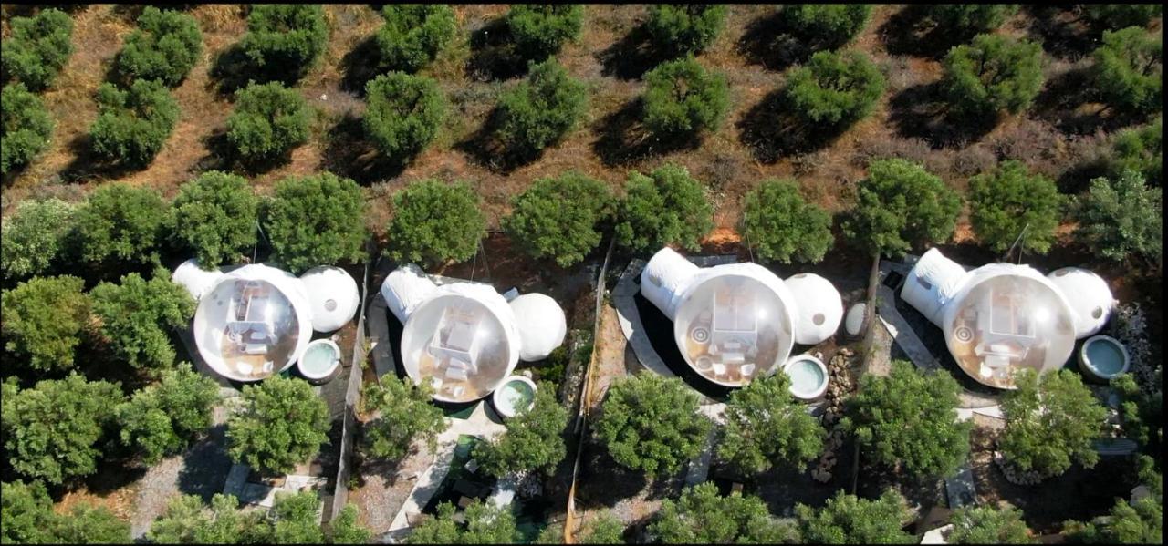 Bubble Tent Hotel Néa Mudaniá Kültér fotó